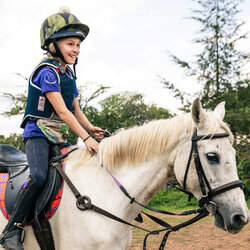 Immersive Equestrian Stays